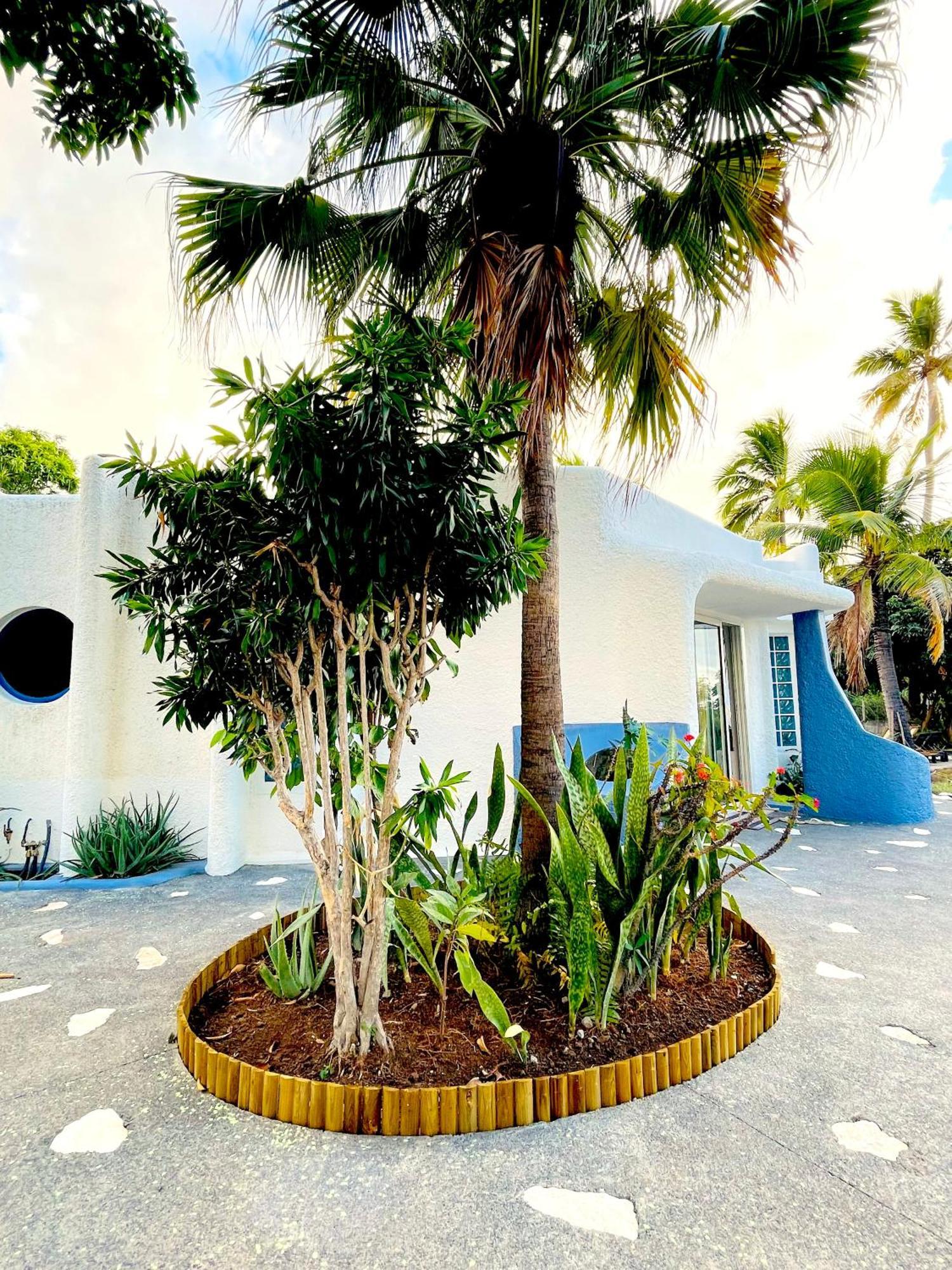 La Kaz Caleepso Vila La Possession Exterior foto